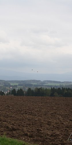 2013 Svojek Mirek Topinka